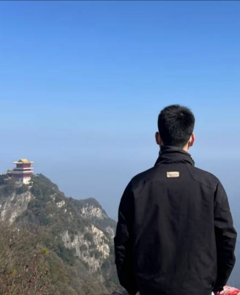 张哲新